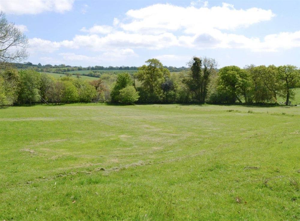 Garden and grounds (photo 3) at Ricann,