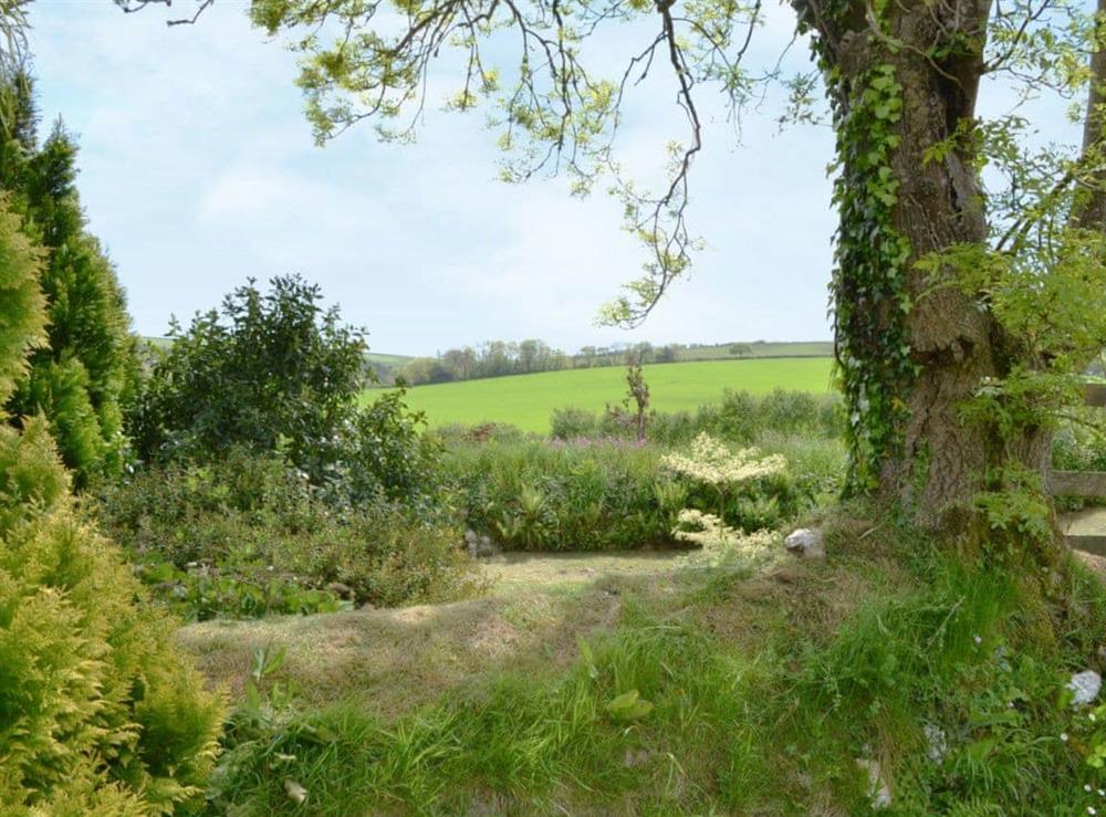 Surrounding area at Ricann,