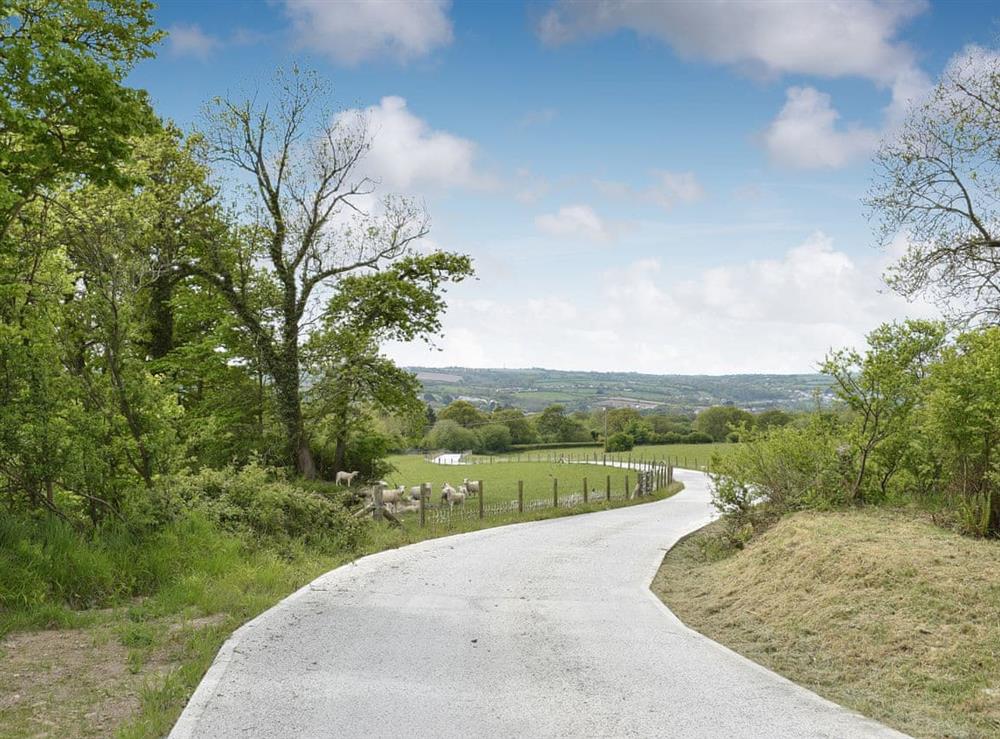Driveway at Trecift in Llangoedmor, near Cardigan, Cardigan/Ceredigion, Dyfed