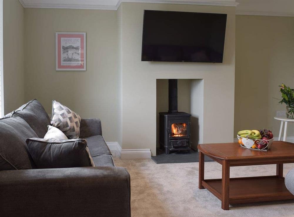 Sitting room with wood burner at Trecift in Llangoedmor, near Cardigan, Cardigan/Ceredigion, Dyfed
