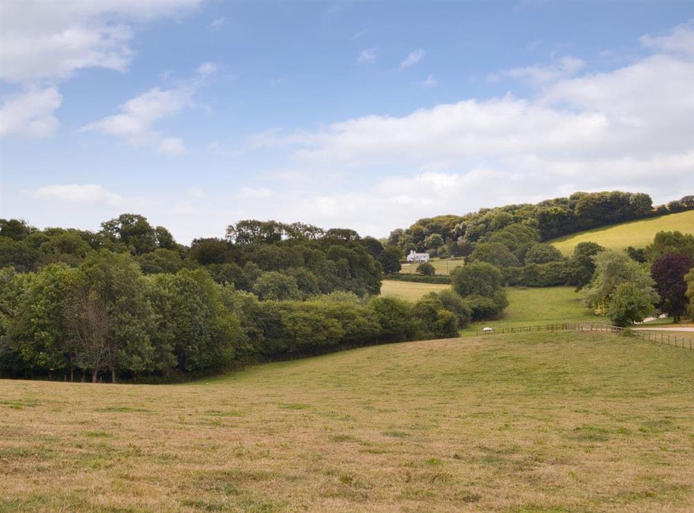 Photos of Tree Park, Halwell, near Totnes, Devon