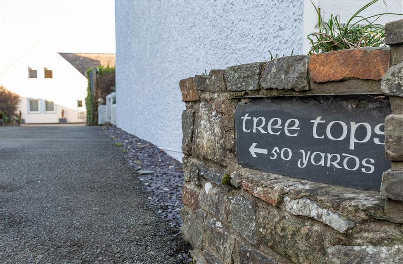 Enjoy the garden at Tree Tops, Newport