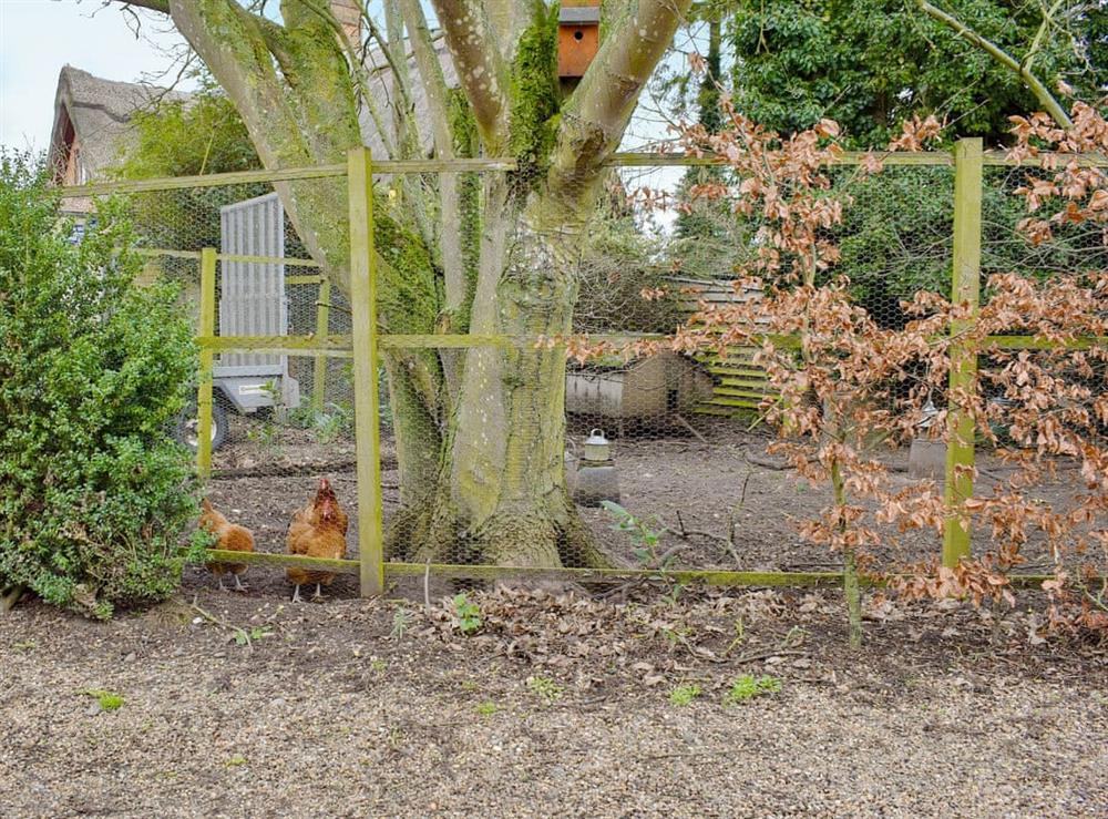 Garden and grounds (photo 2) at Tree View Lodge in Uggeshall, Suffolk