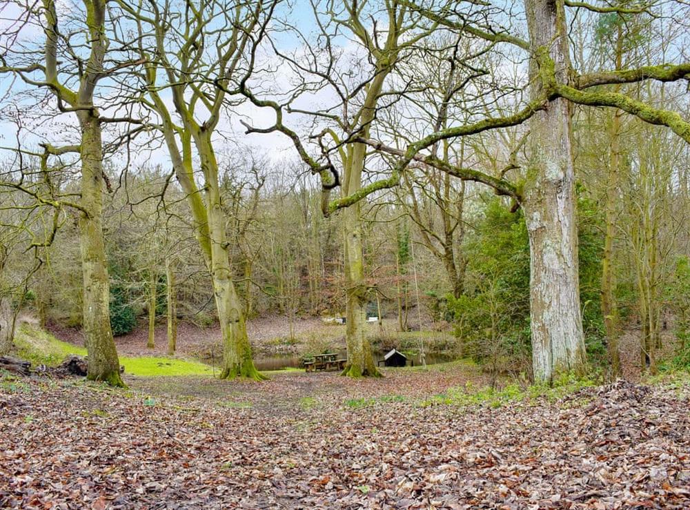 Garden and grounds at Tree View Lodge in Uggeshall, Suffolk