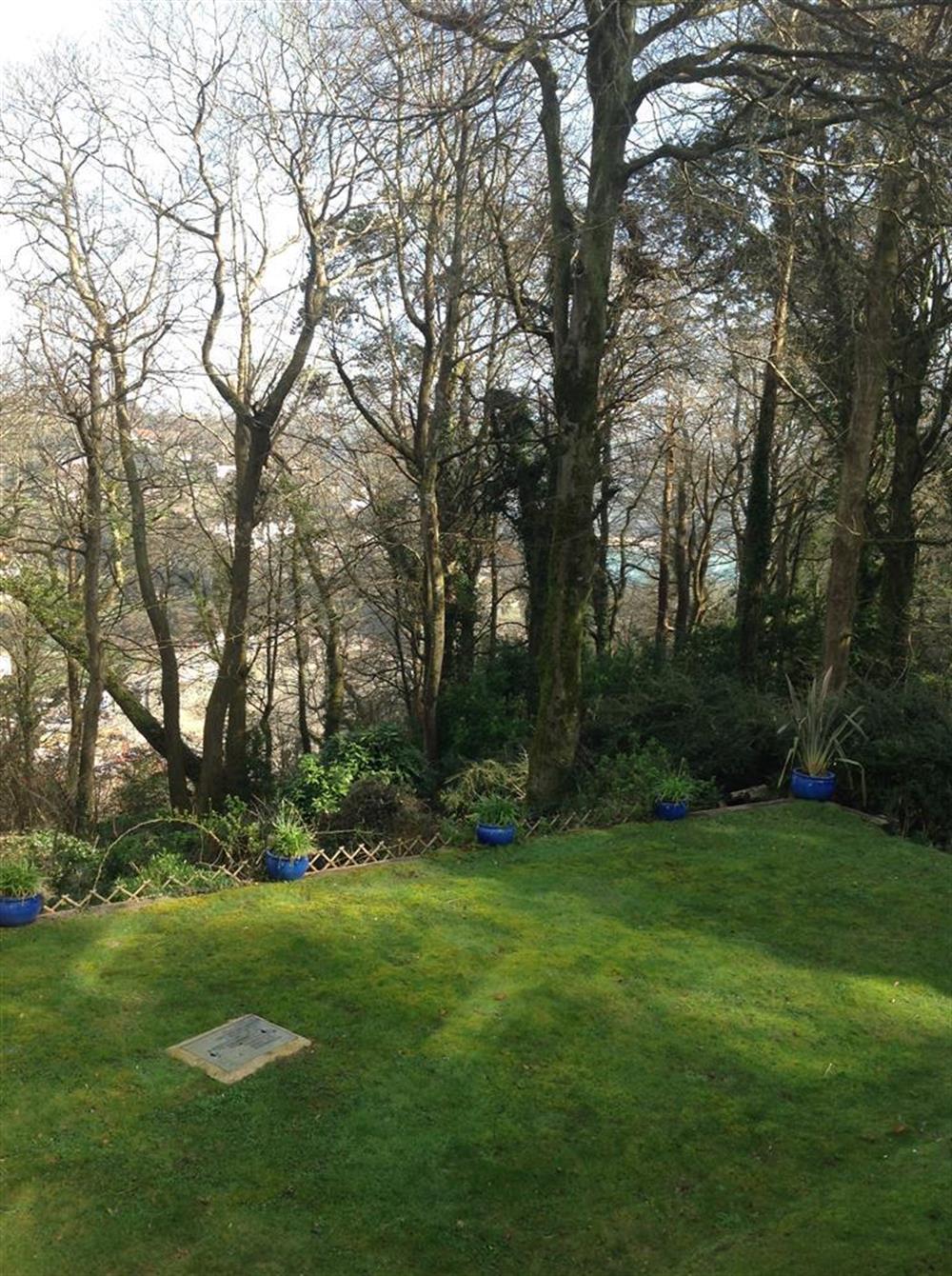 Beautiful sun drenched garden (photo 2) at Treetops in Moult Hill, Salcombe