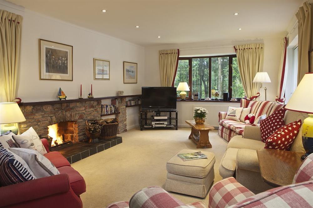 Cosy lounge with open fire at Treetops in Moult Hill, Salcombe