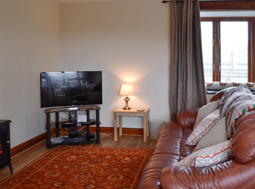 Living room with TV at Trefechan in Pumpsaint, Dyfed