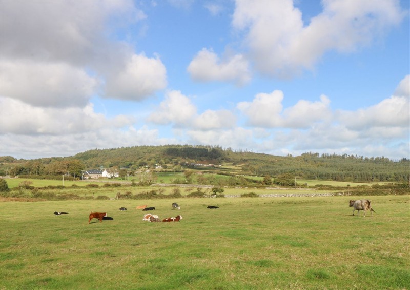 The garden at Trefor Ganol, near Pentraeth