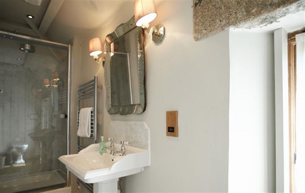 En-suite shower room  at Tregadjack Farmhouse, Tregathenan