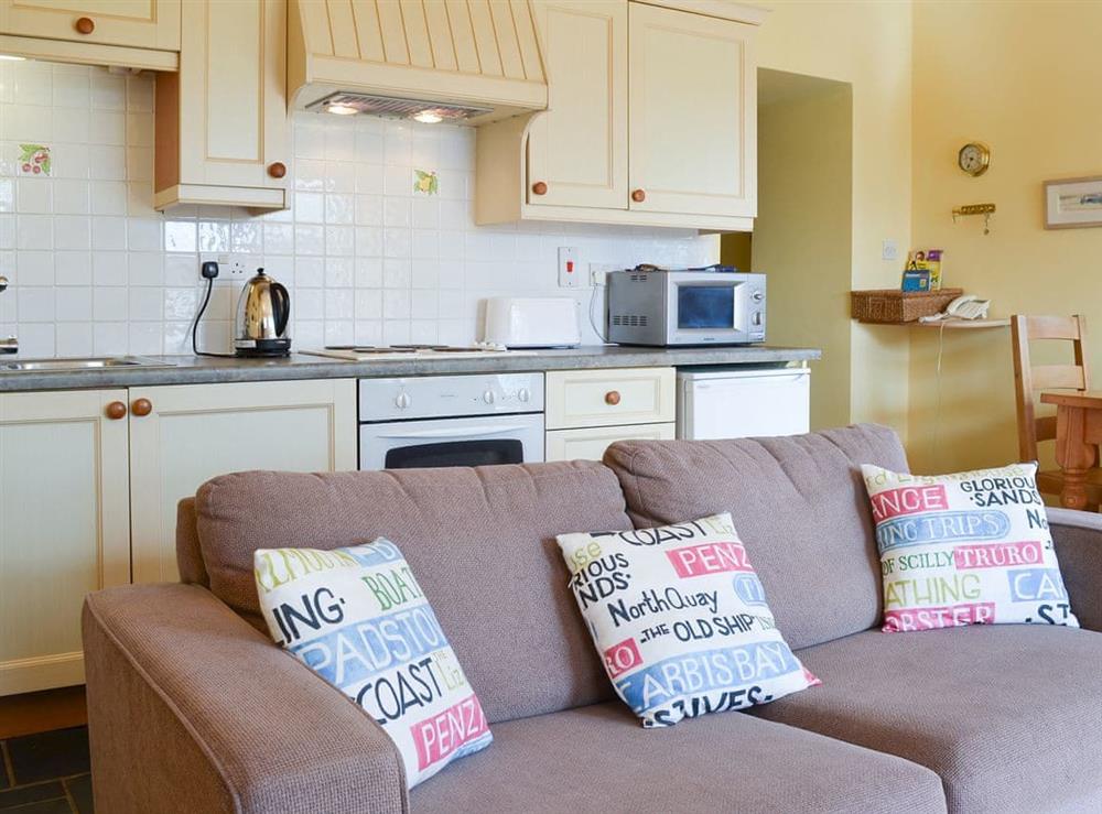 Modest kitchen area at Tregella Farm Cottage in Near Padstow, Cornwall