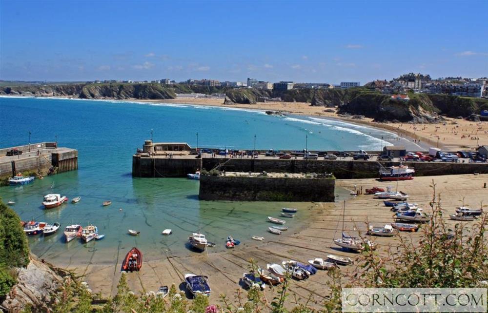 Newquay harbour and beaches at Dog Friendly, 