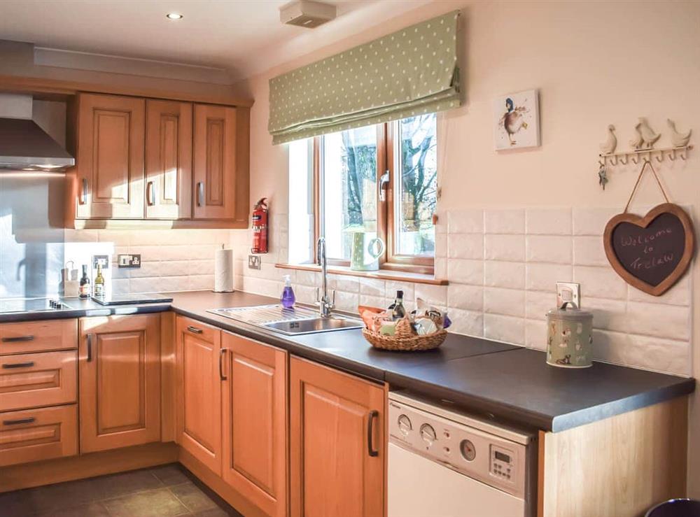 Kitchen area at Trelaw in Cumnock, Ayrshire