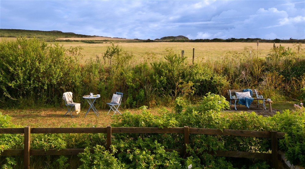The garden and surrounding fields at Treleddyd Fawr Cottage in Haverfordwest, Pembrokeshire