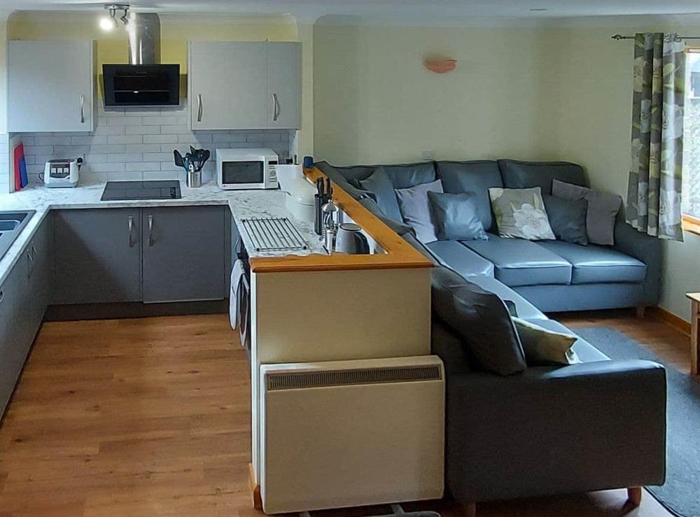 Open plan living space at Trellee in Maen Valley, Goldenbank, Cornwall