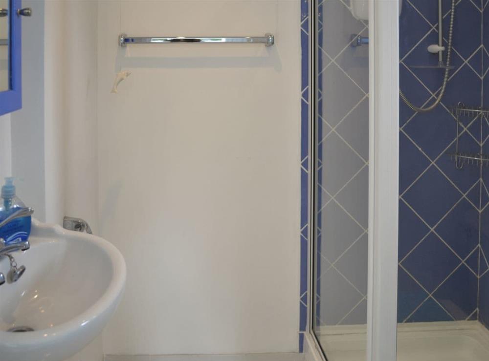 En-suite shower room with shower cubicle and heated towel rail at Rivendell, 