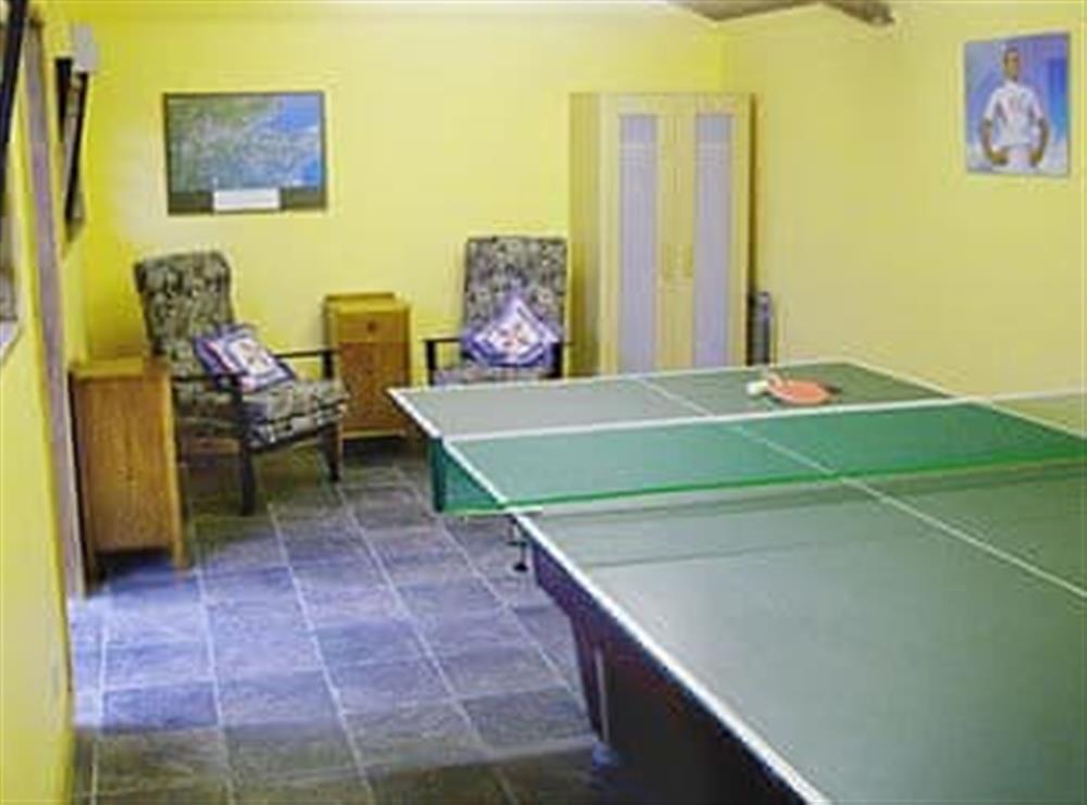 Games room at Tremaer in Bude, Cornwall., Great Britain