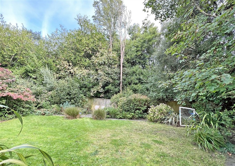 The garden in Trenare (photo 2) at Trenare, Truro