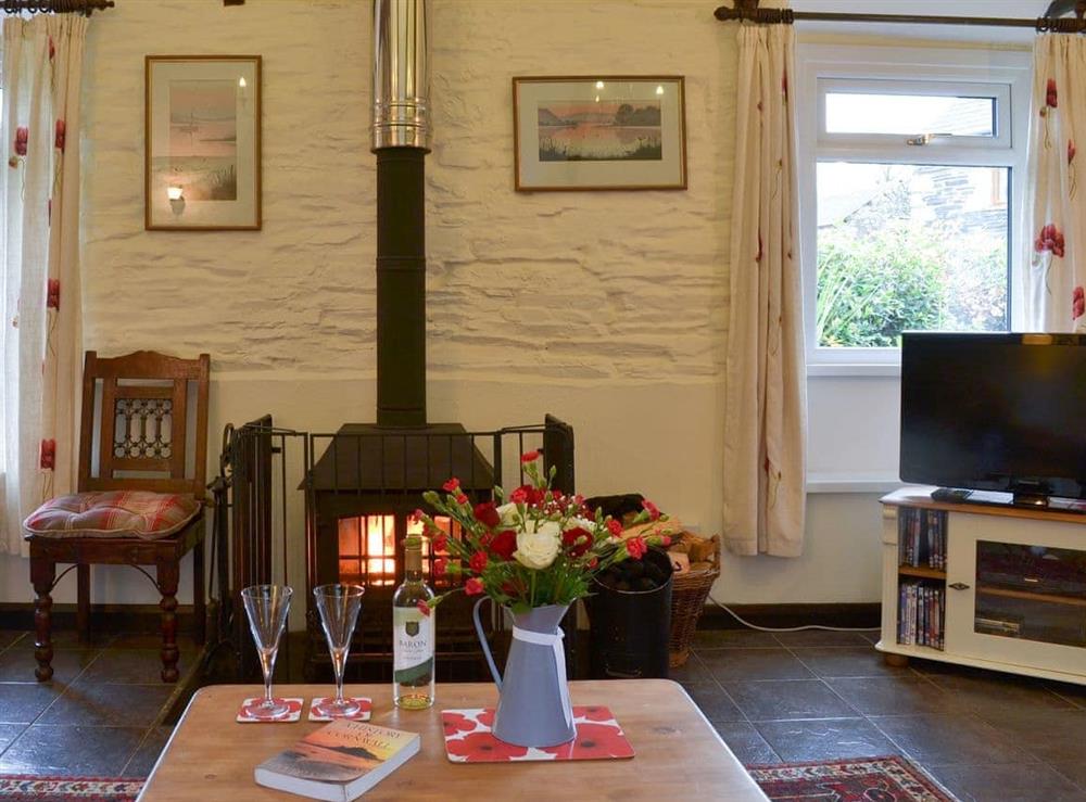 Cosy and warm living room with exposed stone wall at Trenay Barn Cottage in St Neot, near Liskeard, Cornwall