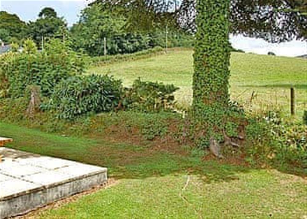 Garden at Tresco in Liskeard, Cornwall
