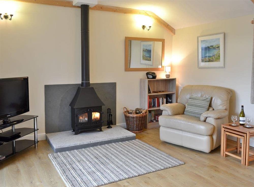 Living room with wood burning stove at Tresidder Barn in Constantine, near Falmouth, Cornwall
