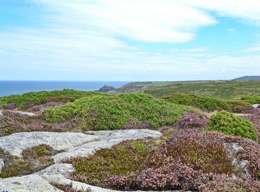 Moorland coastal path