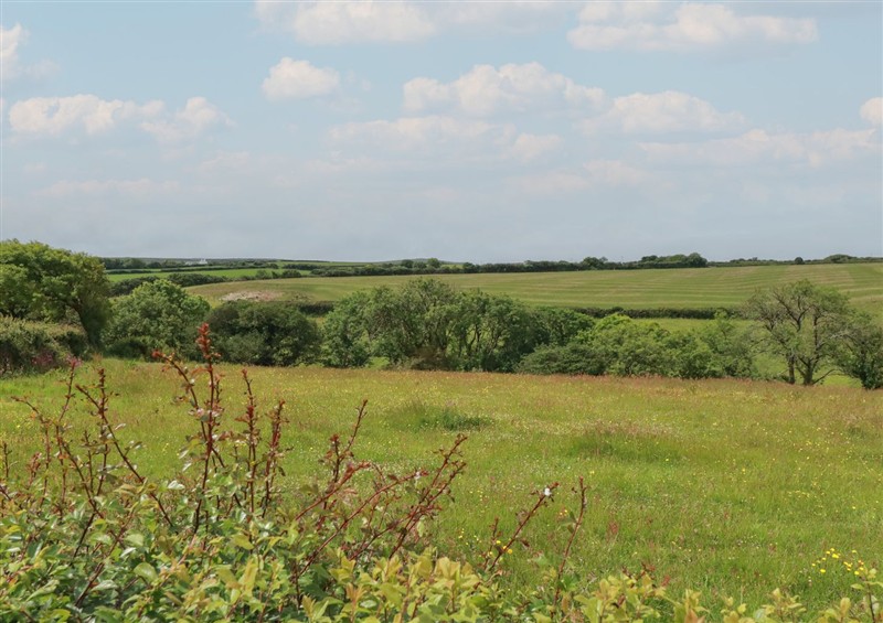 The area around Trevean
