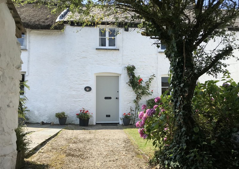 This is the setting of Trevean