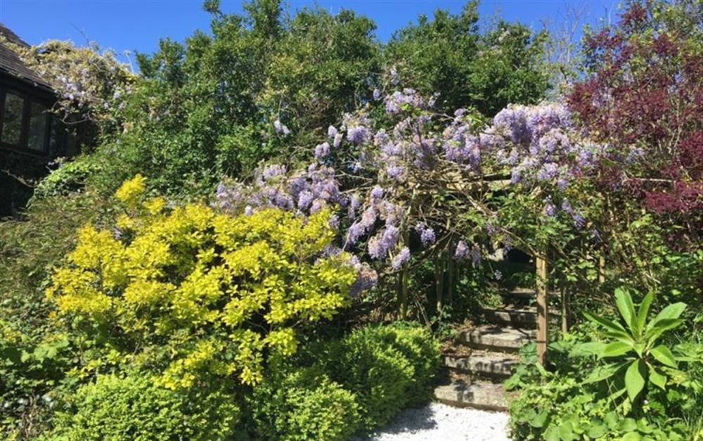 Glorious garden  at Treveglos Barn in St Merryn