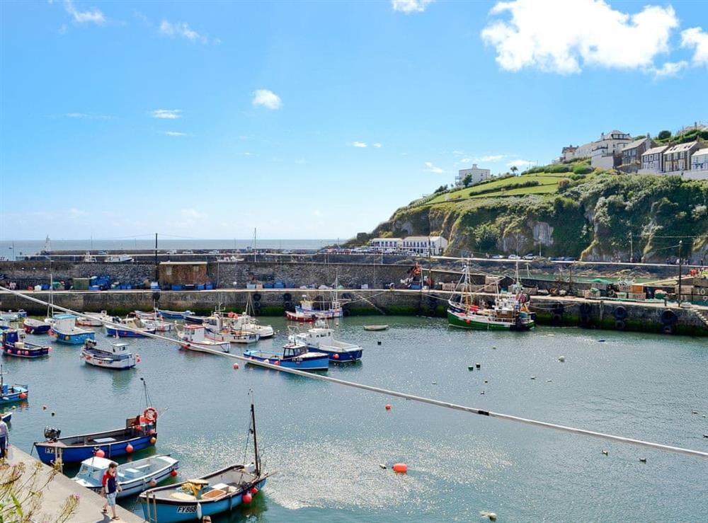 Mevagissey Harbour at Trevellyan Barn in St Austell, Cornwall