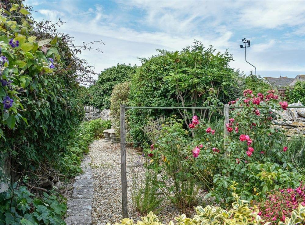 Garden at Trevina in Portland, near Weymouth, Dorset