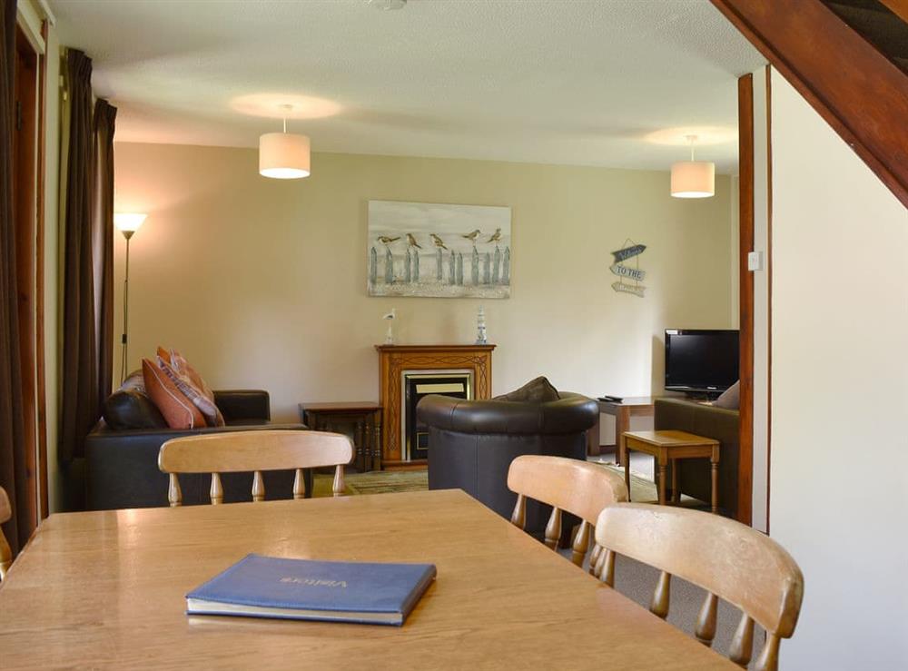 Open plan living space (photo 2) at Trevithick Lodge in St Erth Praze, near Hayle, Cornwall