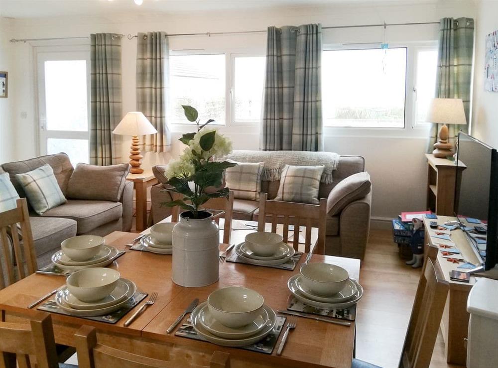 Comfortable open plan living space (photo 2) at Trevone in St Merryn, near Padstow, Cornwall