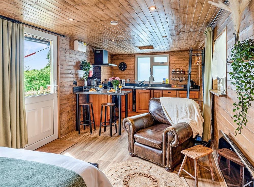 Open plan living space at Trevoya Cabin in Boyton, near Launceston, Cornwall