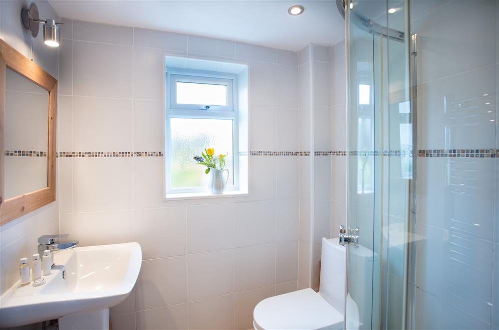 King-size bedroom en-suite shower room (photo 2) at Trewalder, Treyarnon Bay, St Merryn
