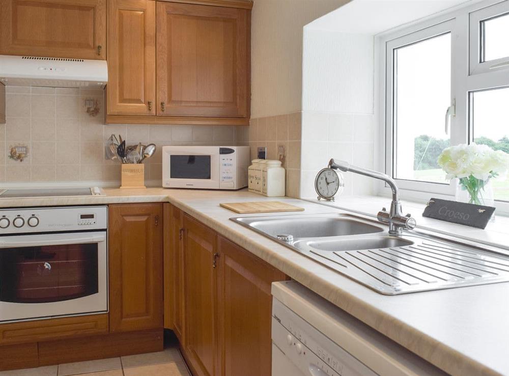 Well-equipped fitted kitchen at Trewindsor in Llandysul, Ceredigion, Dyfed