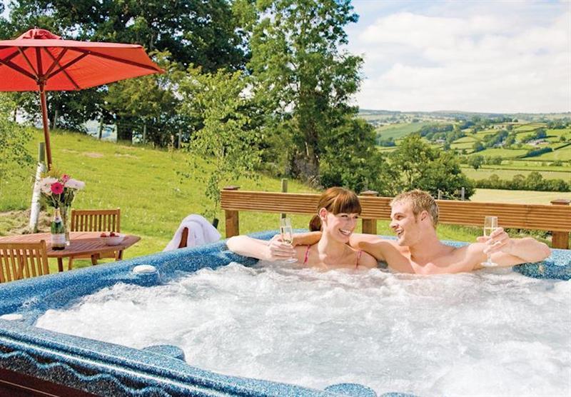 Blossom Lodge at Trewythen Lodges in Powys, Mid Wales
