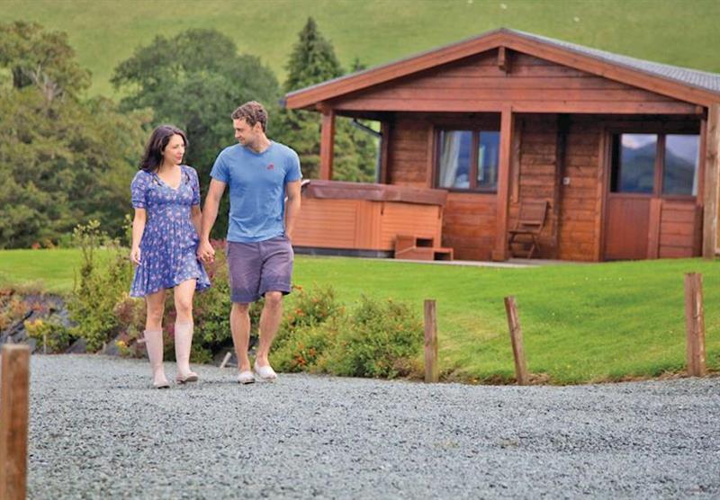 Lavender Lodge at Trewythen Lodges in Powys, Mid Wales