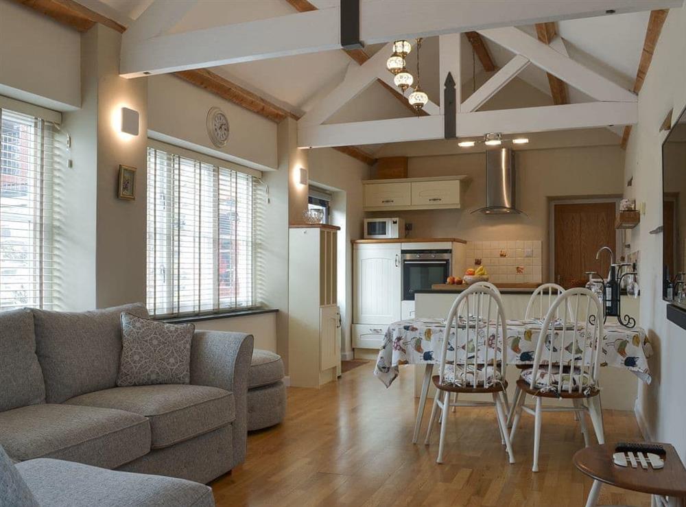 Open plan living space at Trezeal View in North Hill, Cornwall