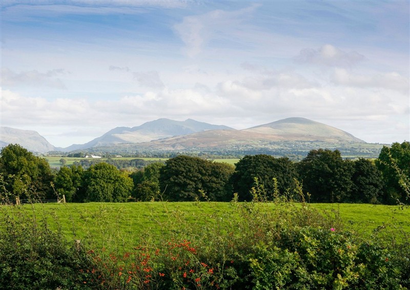 This is the garden at Trigfa, Brynsiencyn near Llanfairpwllgwyngyll
