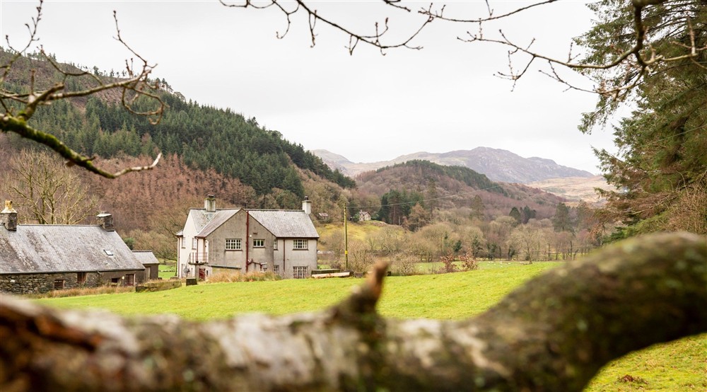 Y Wenallt, viewed from across a field, with woodland and hills of Eryri (Snowdonia) in the background, North Wales at Trinity Cottage in Exeter, Devon