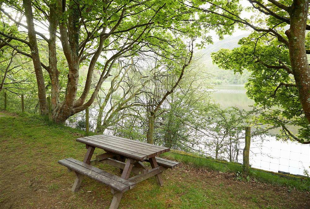 Enjoy a picnic at Cwm Rheidol Reservoir at Troedrhiwfawr, Aberystwyth