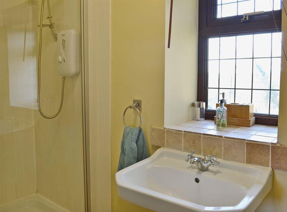 Shower room with shower and WC at Trowley Farmhouse in near Painscastle, Hay-on-Wye, Powys