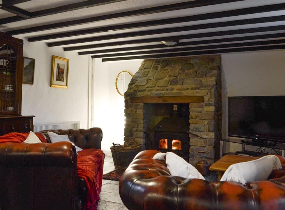 Welcoming living area with wood burner at Tryal Cottage in Cilau Aeron, near Aberaeron, Dyfed