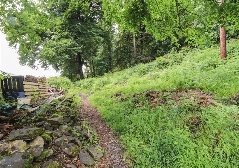 The garden in Tryfan Cottage at Tryfan Cottage, Nant Gwynant