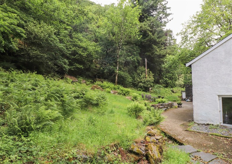 The garden at Tryfan Cottage, Nant Gwynant