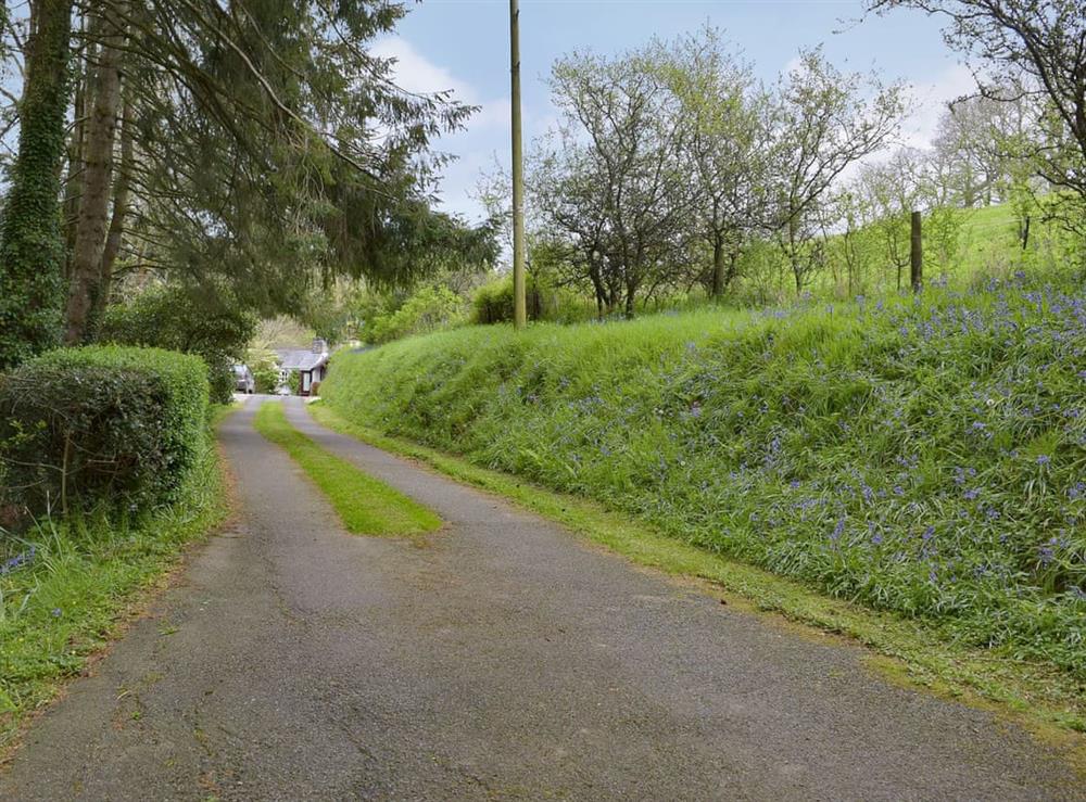 Driveway at Tucking Cottage in Treffgarne, near Haverfordwest, Dyfed