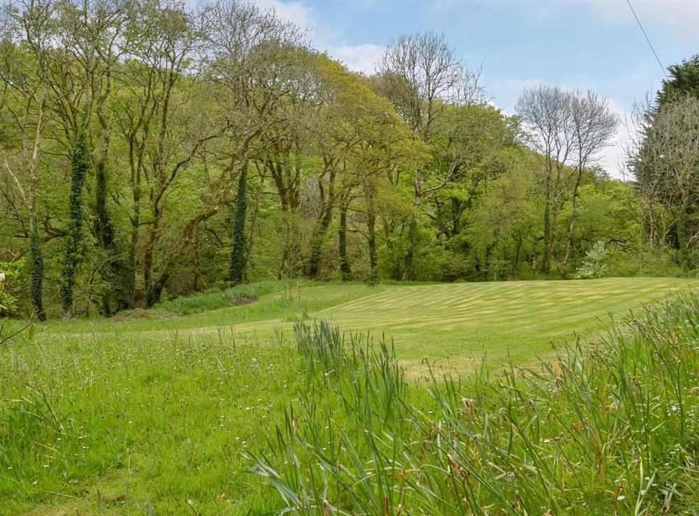 Extensive garden and grounds at Tucking Cottage in Treffgarne, near Haverfordwest, Dyfed