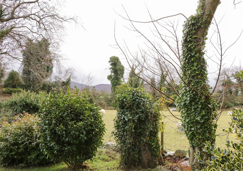 This is the garden (photo 2) at Tudor Lodge, Bryansford near Newcastle