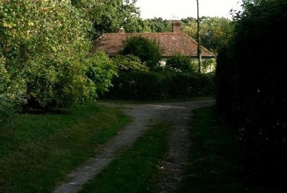 The private track leading to the property