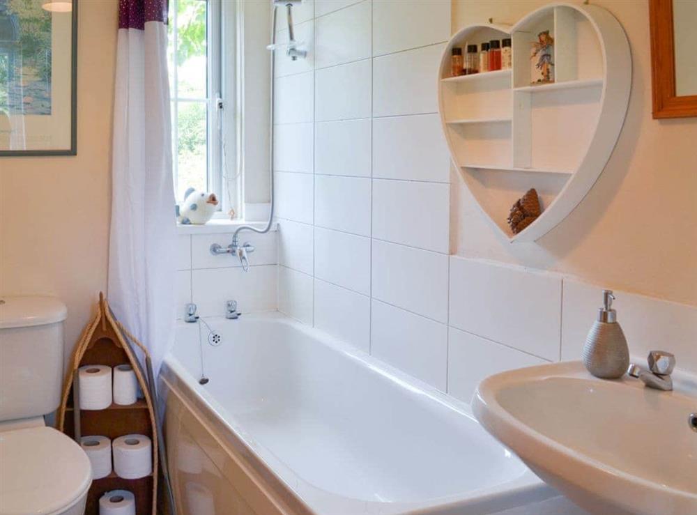 Cosy bathroom with shower over the bath at Tulip Lodge in Tideford Cross, near Saltash, Cornwall